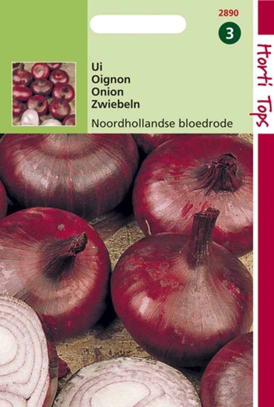 Onion North Holland Blood Red (Allium cepa) 1200 seeds